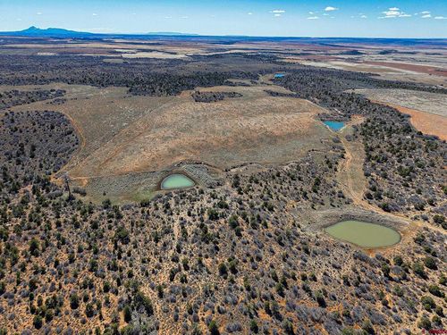TBDWP County Line Rd, Dove Creek, CO, 81324 | Card Image