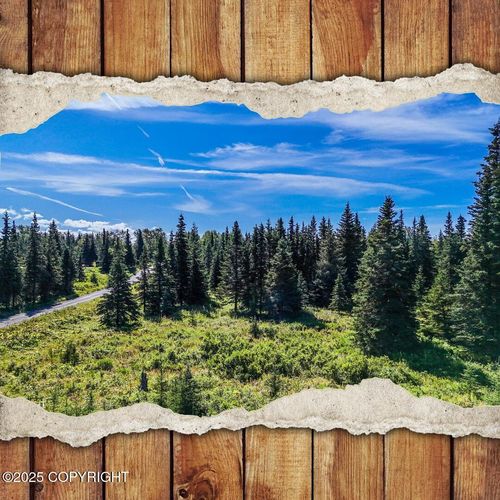 15737 Cecelia St, Ninilchik, AK, 99639-9763 | Card Image