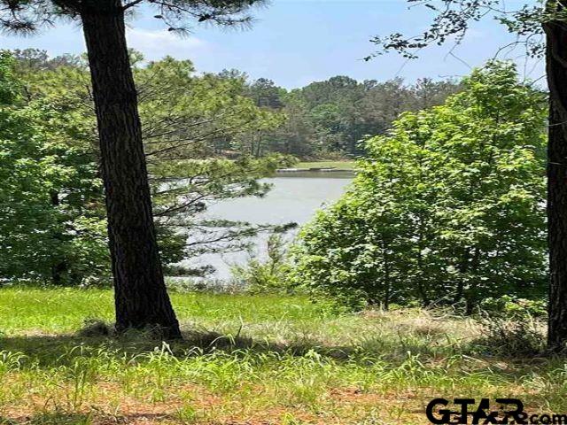 Land in Montalba 2