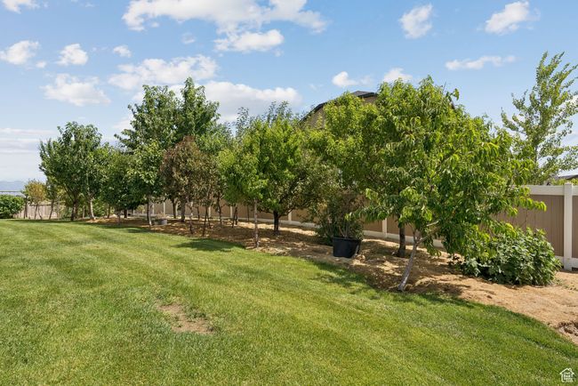 View of yard | Image 41