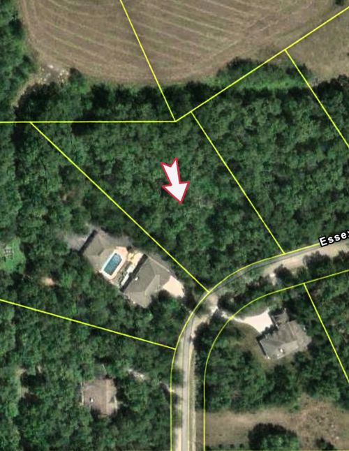 161 Essex Way, Essex, IL, 60935-3000 | Card Image