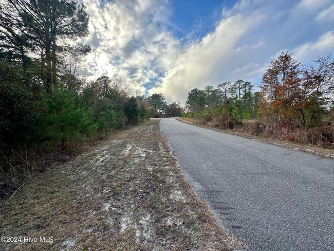 292 S Horsepen Rd, Home with 0 bedrooms, 0 bathrooms and null parking in Harrells NC | Image 7