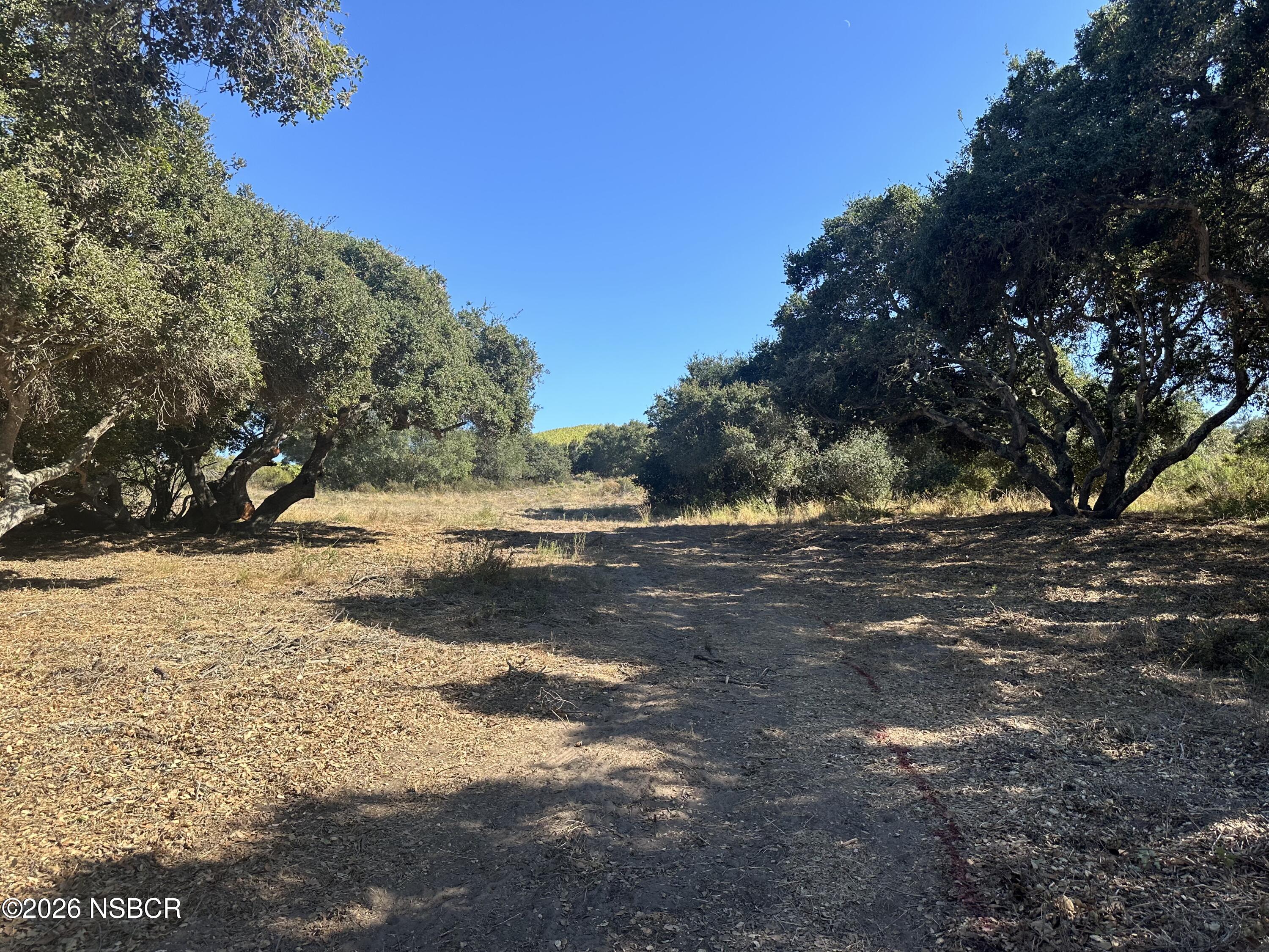 Land in Lompoc 5