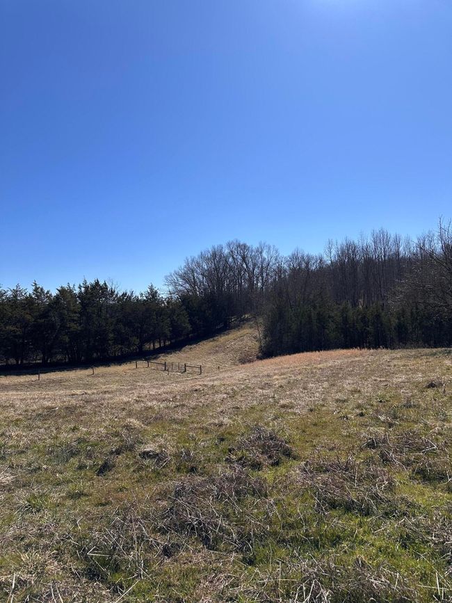 265 - 24265 S Mohawk Rd, Home with 0 bedrooms, 0 bathrooms and null parking in Mohawk TN | Image 30
