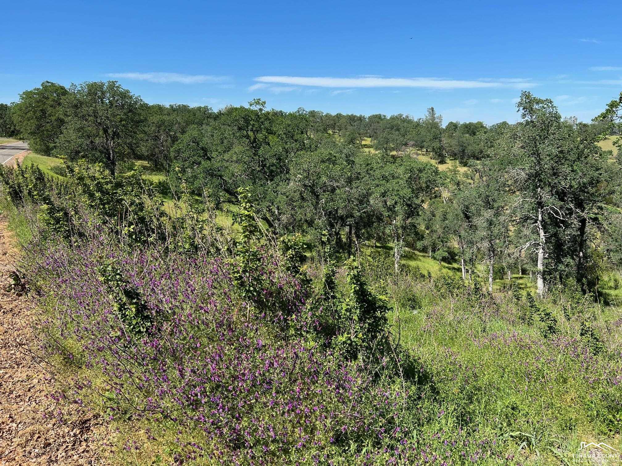 Land in Corning 3