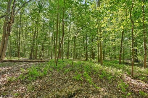 0 Homestead Rd, Gillette, NJ, 07933 | Card Image