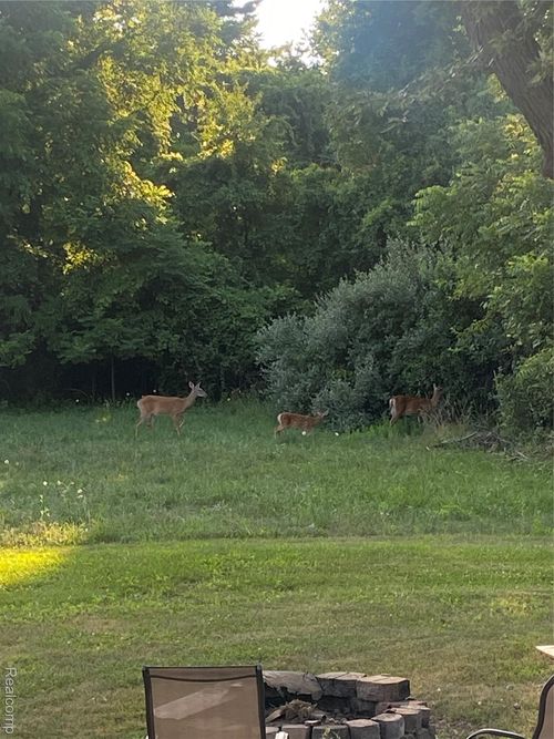 26730 Will Carleton Rd, Flat Rock, MI, 48134-9716 | Card Image