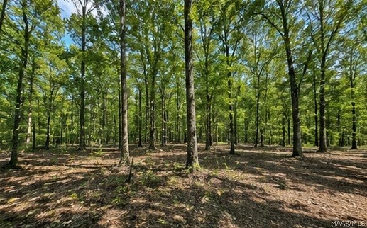 Land in Double Springs 3