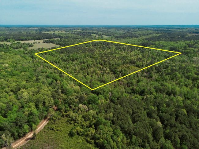 0 County Road 2742, Home with 0 bedrooms, 0 bathrooms and null parking in Naples TX | Image 14