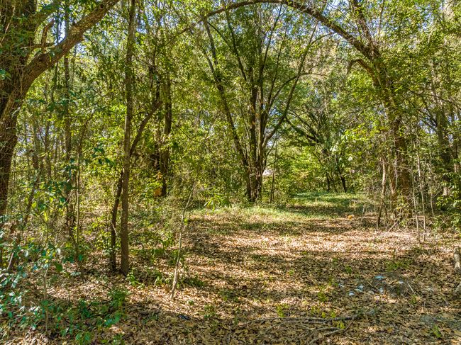 DJI_0359-HDR | Image 4