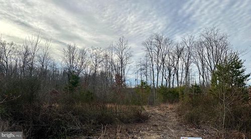 Lot 1 Belsches Rd, Bumpass, VA, 23024-4111 | Card Image