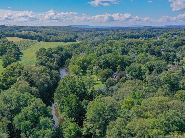 Drone / aerial view of a forest | Image 16