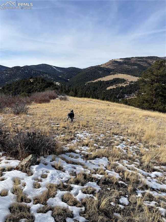 752 County Road 16, Home with 0 bedrooms, 0 bathrooms and null parking in Cotopaxi CO | Image 14