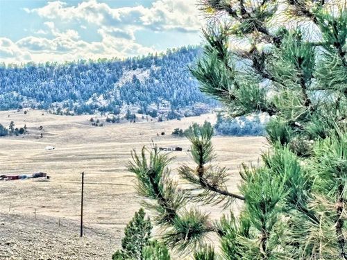115 Black Canyon Ct, Hartsel, CO, 80449 | Card Image