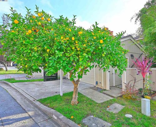 405 Thistle Cir, Martinez, CA, 94553-5814 | Card Image