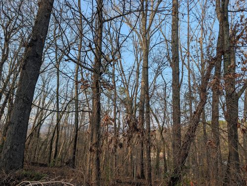 0 Pine Breeze Cir, Rockwood, TN, 37854 | Card Image