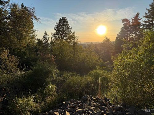 993 Norton Knob Ln, Orofino, ID, 83544-5500 | Card Image