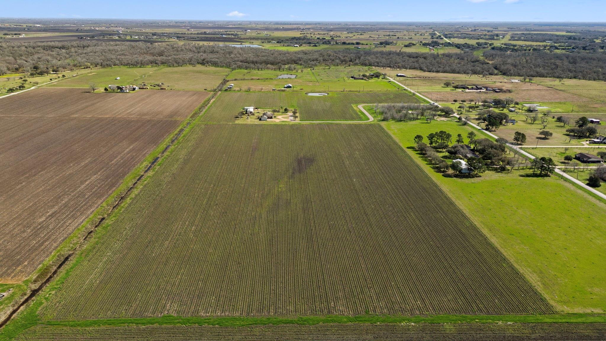 Farm in East Bernard 5