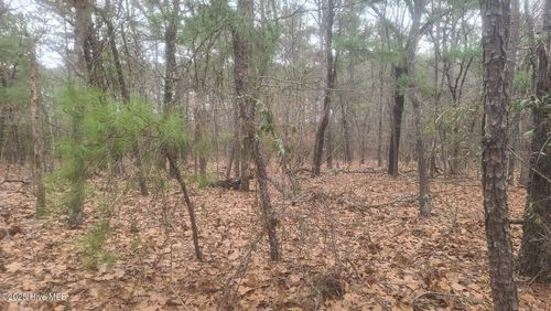 Tbd Union Church Rd, Carthage, NC, 28327 | Card Image