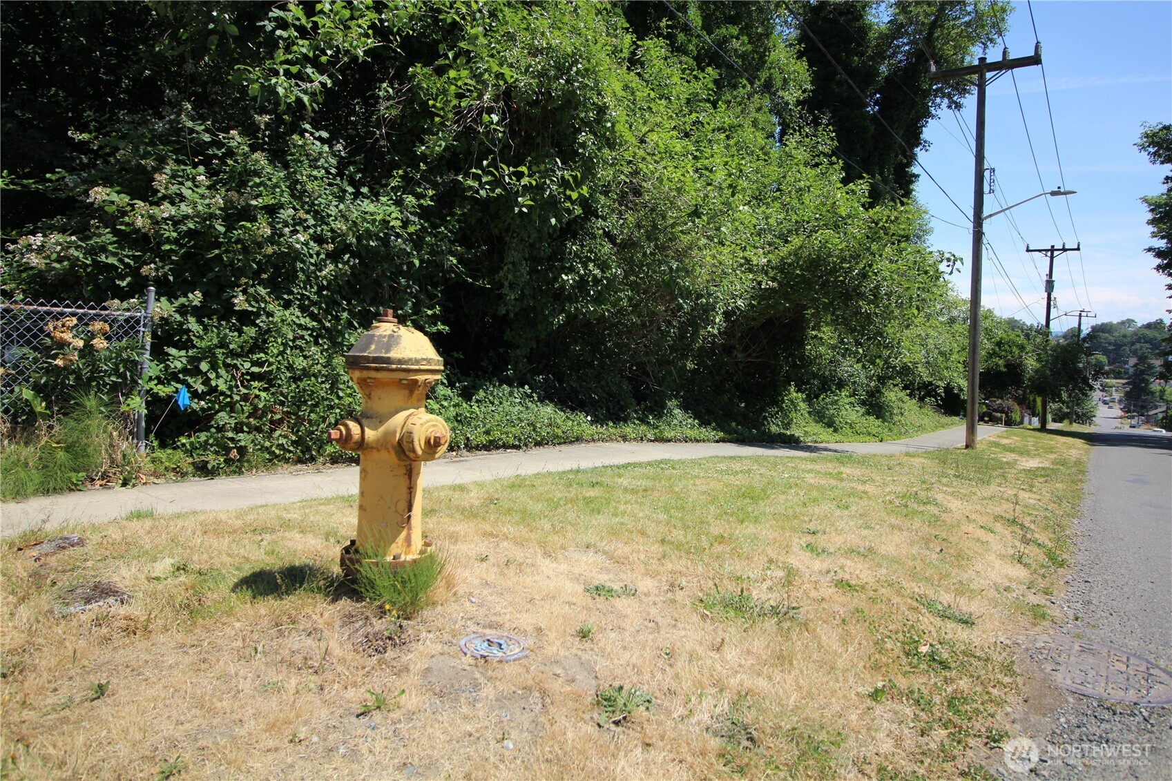 Land in Seattle 5