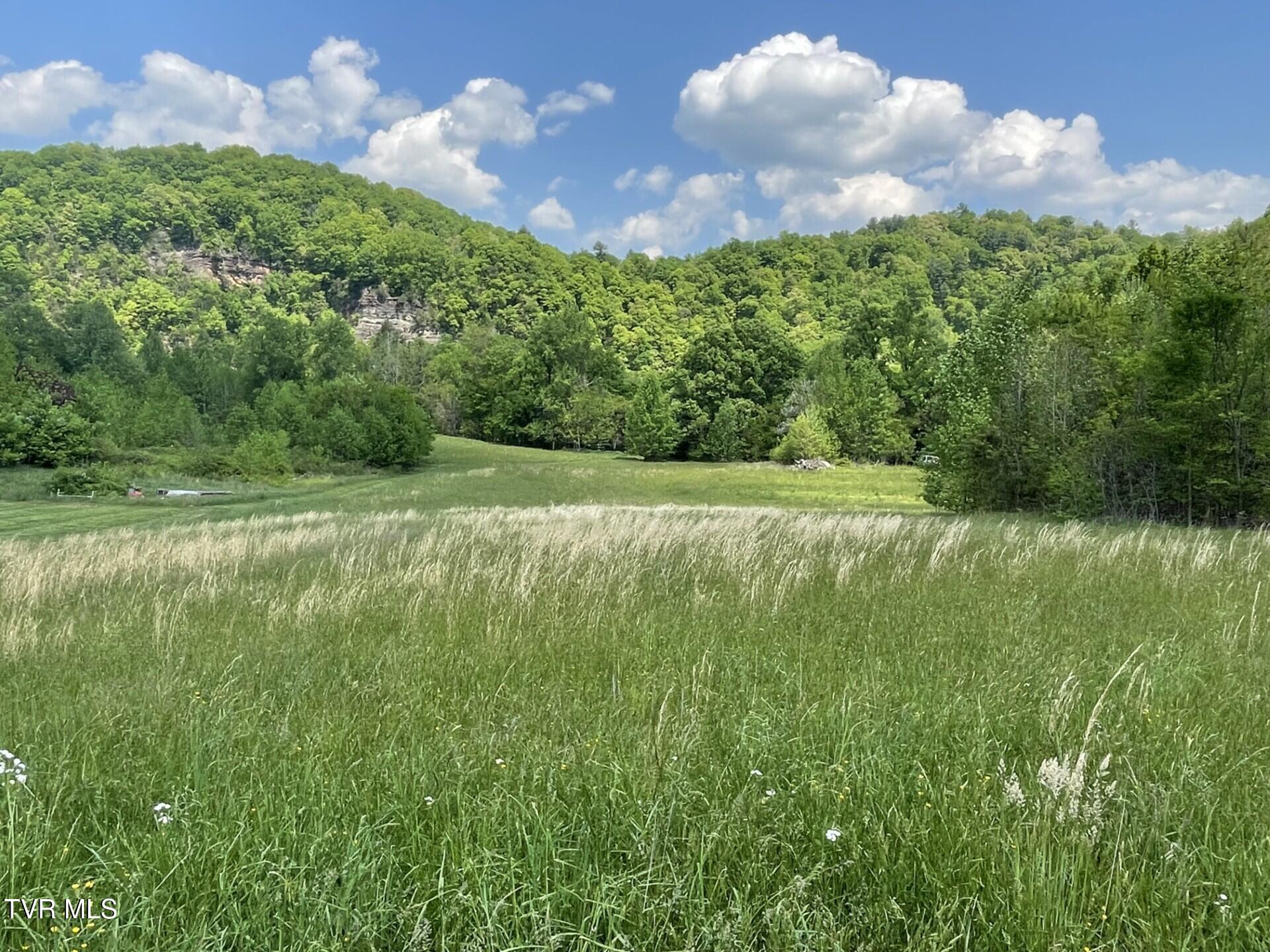 Land in Elizabethton 3
