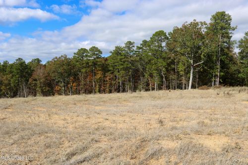 Tract 1 Hugh White State Park Rd, Grenada, MS, 38901-8303 | Card Image