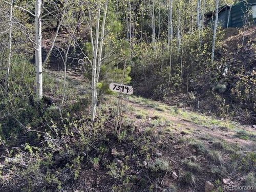 7394 County Road 43, Bailey, CO, 80421 | Card Image