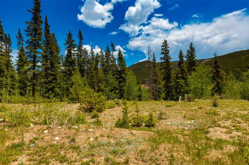 522 Quartzville Rd, ALMA, CO, 80420 | Card Image