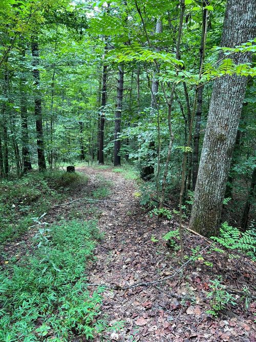 157-645 Tunnel Rd, Marion, NC, 28752 | Card Image