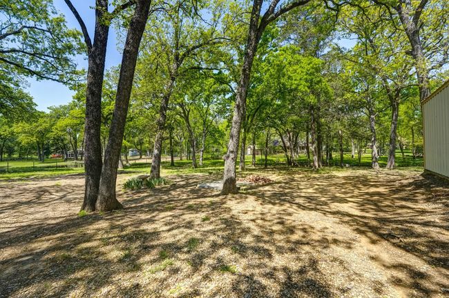 View of yard | Image 33