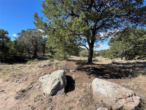 3547 Fallen Tree Pl, Crestone, CO, 81131 | Card Image