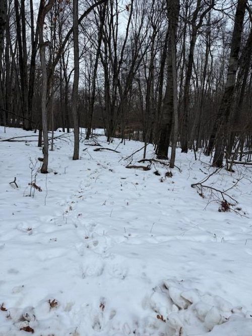 12090 Regina Dr, Stanwood, MI, 49346 | Card Image