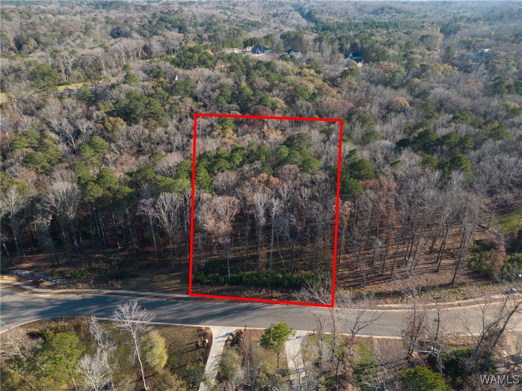 Land in Northport 5