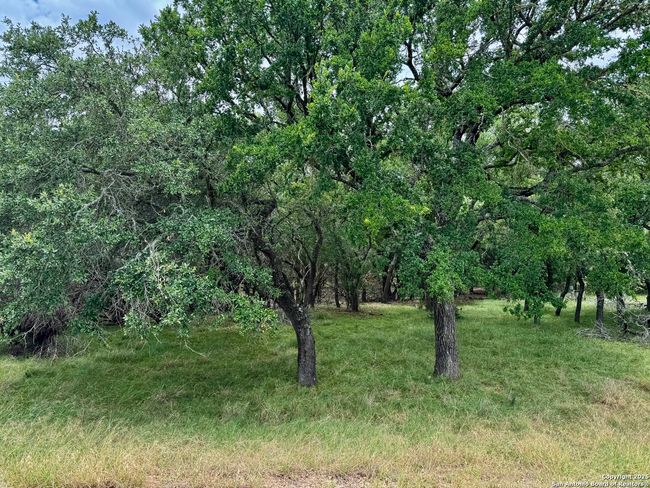 1187 Long Meadow, Home with 0 bedrooms, 0 bathrooms and null parking in Spring Branch TX | Image 5
