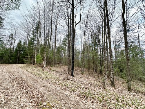 10 Acres State Highway 55, Pearson, WI, 54462 | Card Image