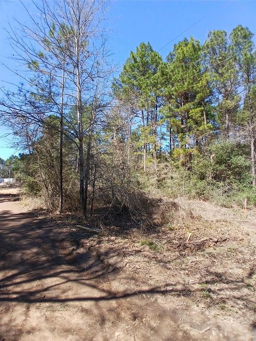 7886 Coral Bean Ln, Plantersville, TX, 77363-5044 | Card Image
