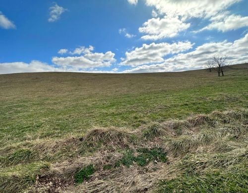 251 Finnell Rd, Cynthiana, KY, 41031 | Card Image