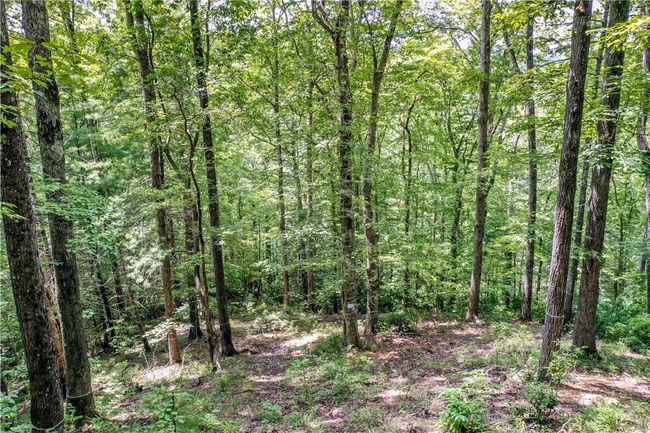 533 Shooting Tree Way, Home with 0 bedrooms, 0 bathrooms and null parking in Salem SC | Image 15