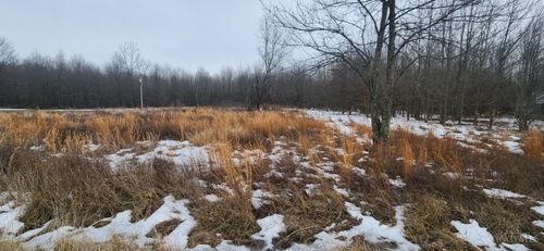 1927 Maple Grove Rd, Mount Orab, OH, 45154-9226 | Card Image