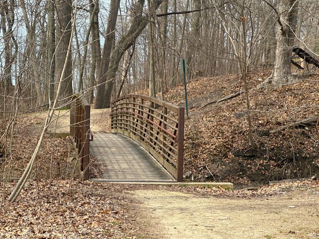 Path to the beach | Image 48