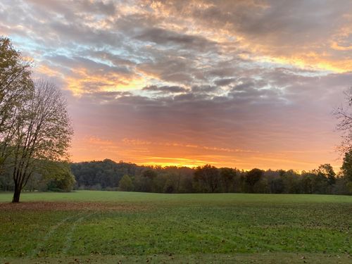 1861 Trace Creek Rd, Hohenwald, TN, 38462-5173 | Card Image