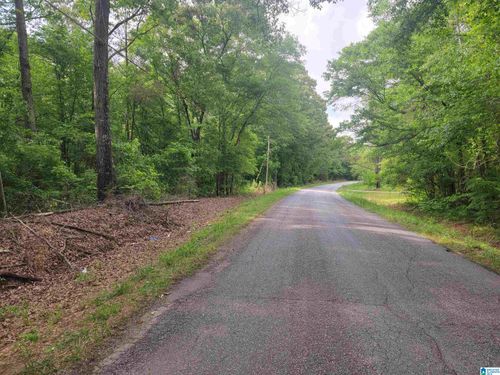 2--2+/ Acres County Road 75, Roanoke, AL, 36274 | Card Image