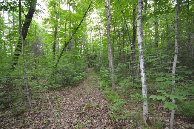 0 Harburn Rd, Home with 0 bedrooms, 0 bathrooms and null parking in Haliburton ON | Image 17