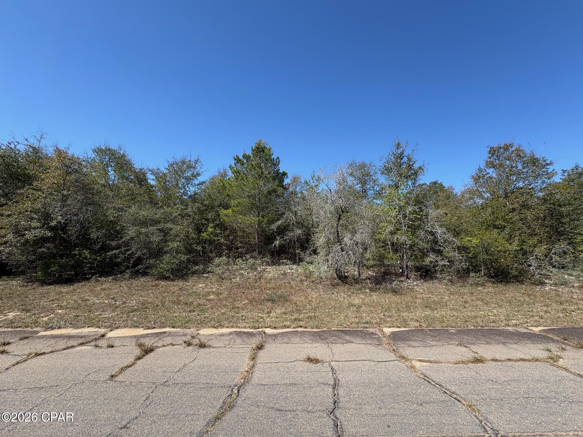Land in Chipley 4