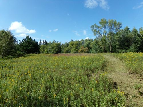 67 Old Sawmill Rd, Harris, MN, 55032 | Card Image