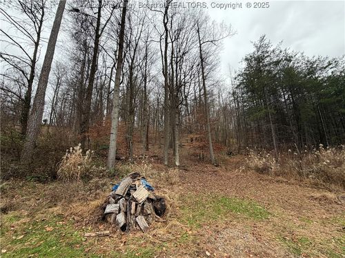 25 Pinson Dr, Winfield, WV, 25213-9385 | Card Image