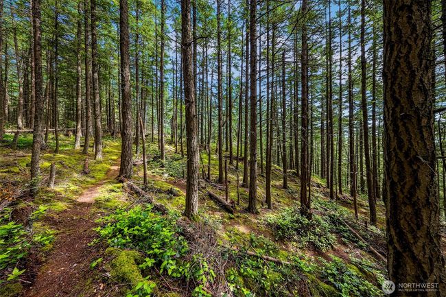 3071 Hales Passage Dr, Home with 0 bedrooms, 0 bathrooms and null parking in Lummi Island WA | Image 10