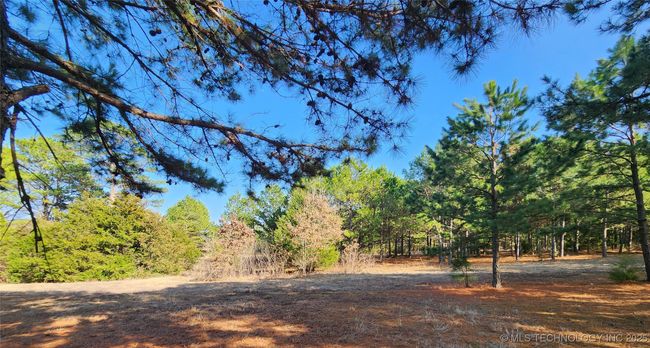 5253 S Research Rd, Home with 0 bedrooms, 0 bathrooms and null parking in Lane OK | Image 61