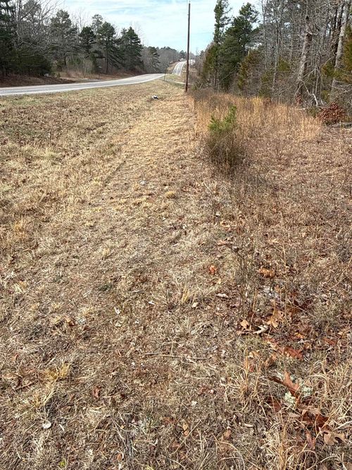 150 Blue Mountain Lane, Alco, AR, 72680 | Card Image