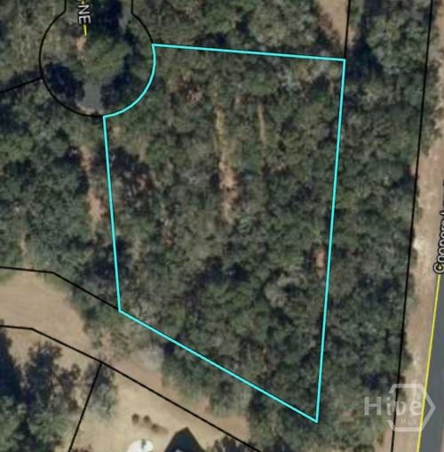 0 Blackberry Lane Ne, Townsend, GA, 31331 | Card Image